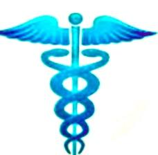 Validus Institute Inc